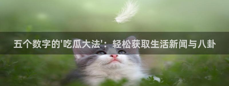 五个数字的\'吃瓜大法\'：轻松获取生活新闻与八卦